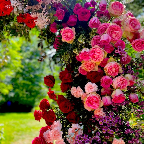 Meet your Posher, Mika - Picture 1 of 1